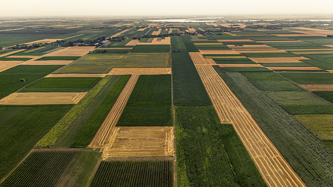 Soil Mapping & Topographic Survey — AGfarms Insight